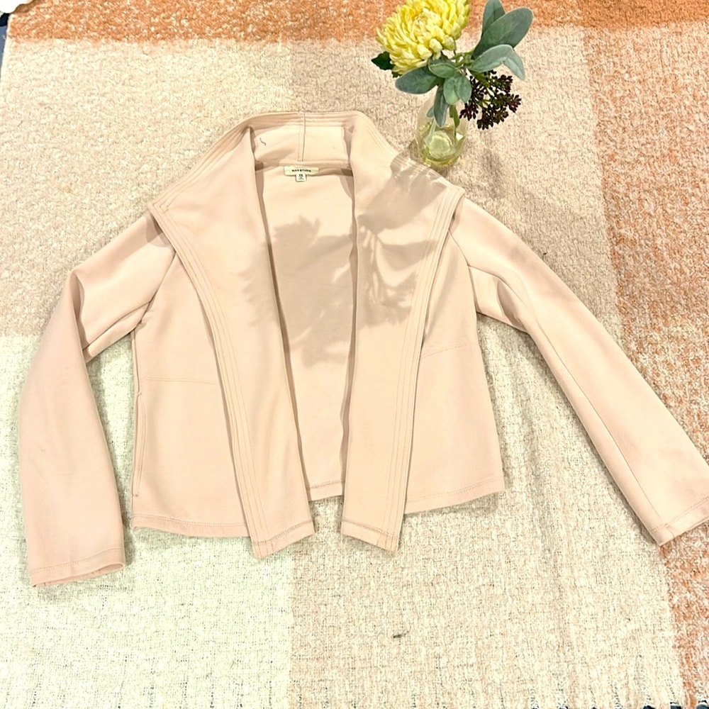 Max Studio Blazer